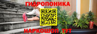 альфа пвп Волгодонск