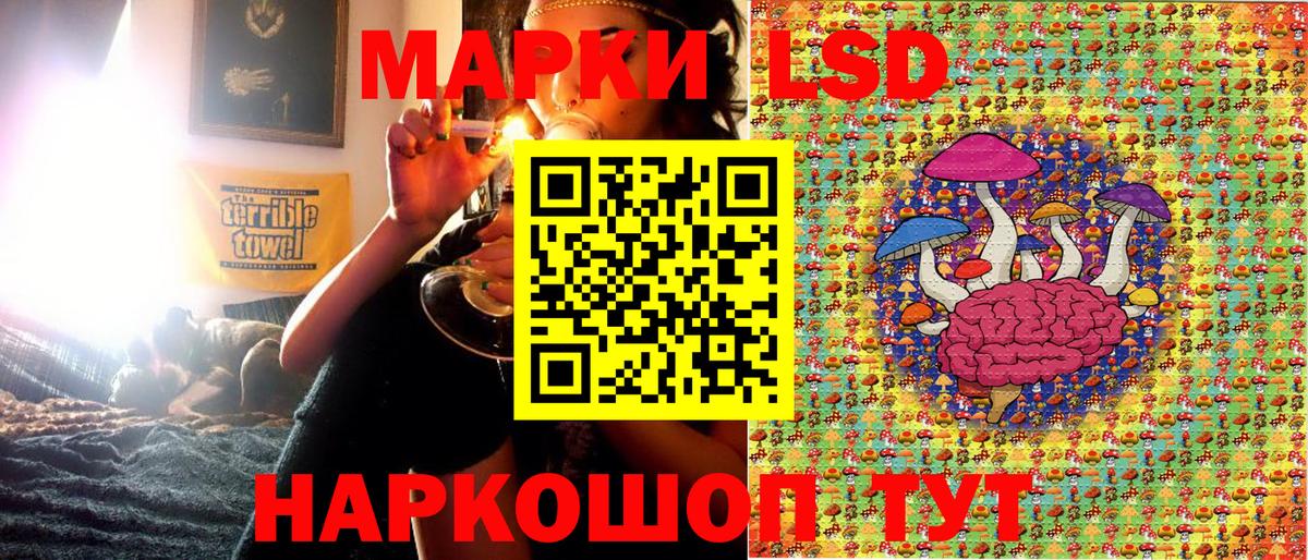 купить наркотик  Наркотические марки 1,8мг  Вход с VPN  Наркотические марки 1,8мг  Кызыл 